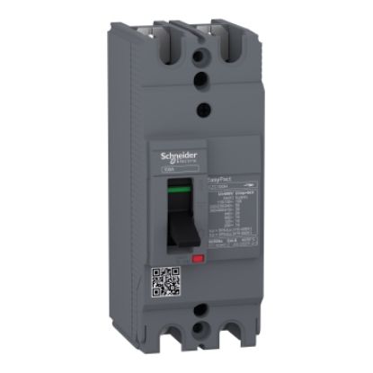 MCCB Schneider EZC100H2060 2P 60A 30KA