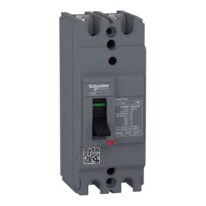 MCCB Schneider EZC100H2080 2P 80A 30KA