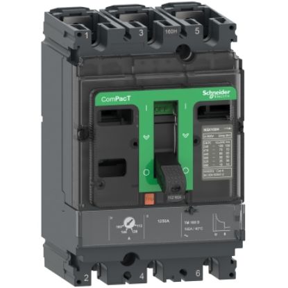 MCCB Schneider 3P 125A 25KA TMD