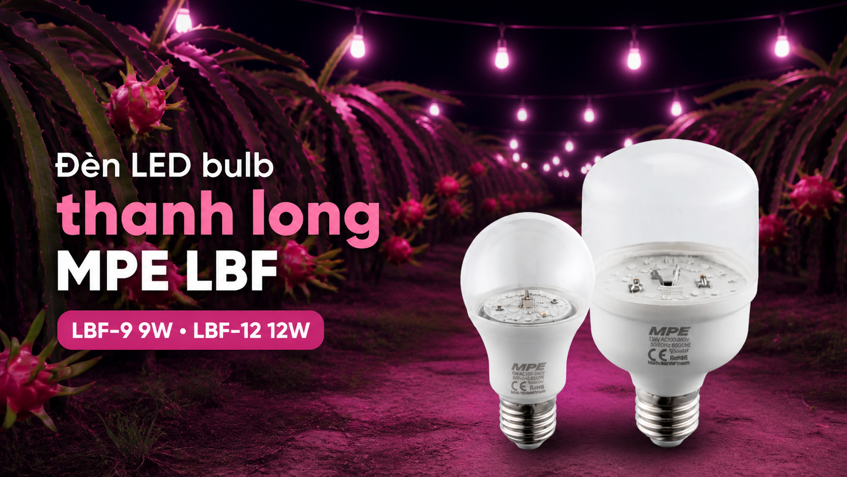 đèn LED bulb thanh long MPE LBF