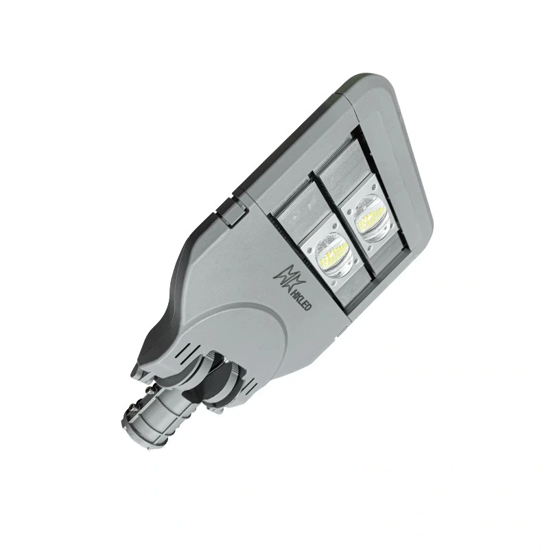 Đèn đường khu đô thị 100W Chất lượng đỉnh cao – D01