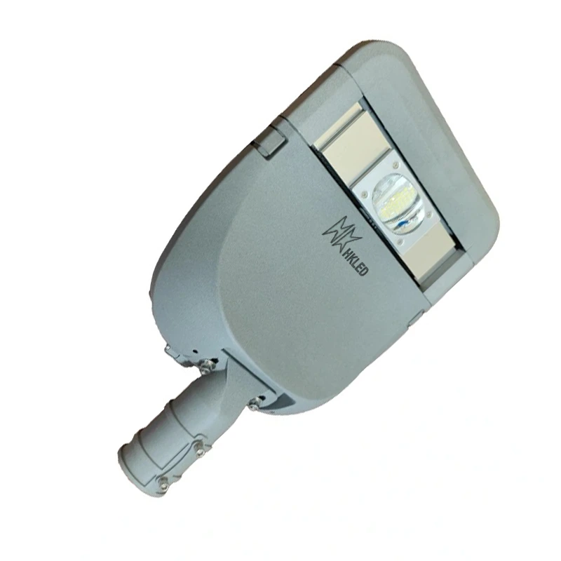 Đèn đường nông thôn 50W cam kết chất lượng – D02