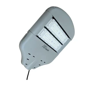 Đèn đường nông thôn 100W Chất lượng đỉnh cao – D03