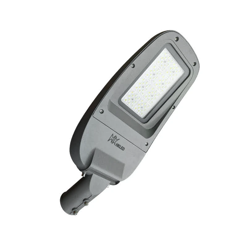 Đèn đường nông thôn 100W Chất lượng đỉnh cao – D20