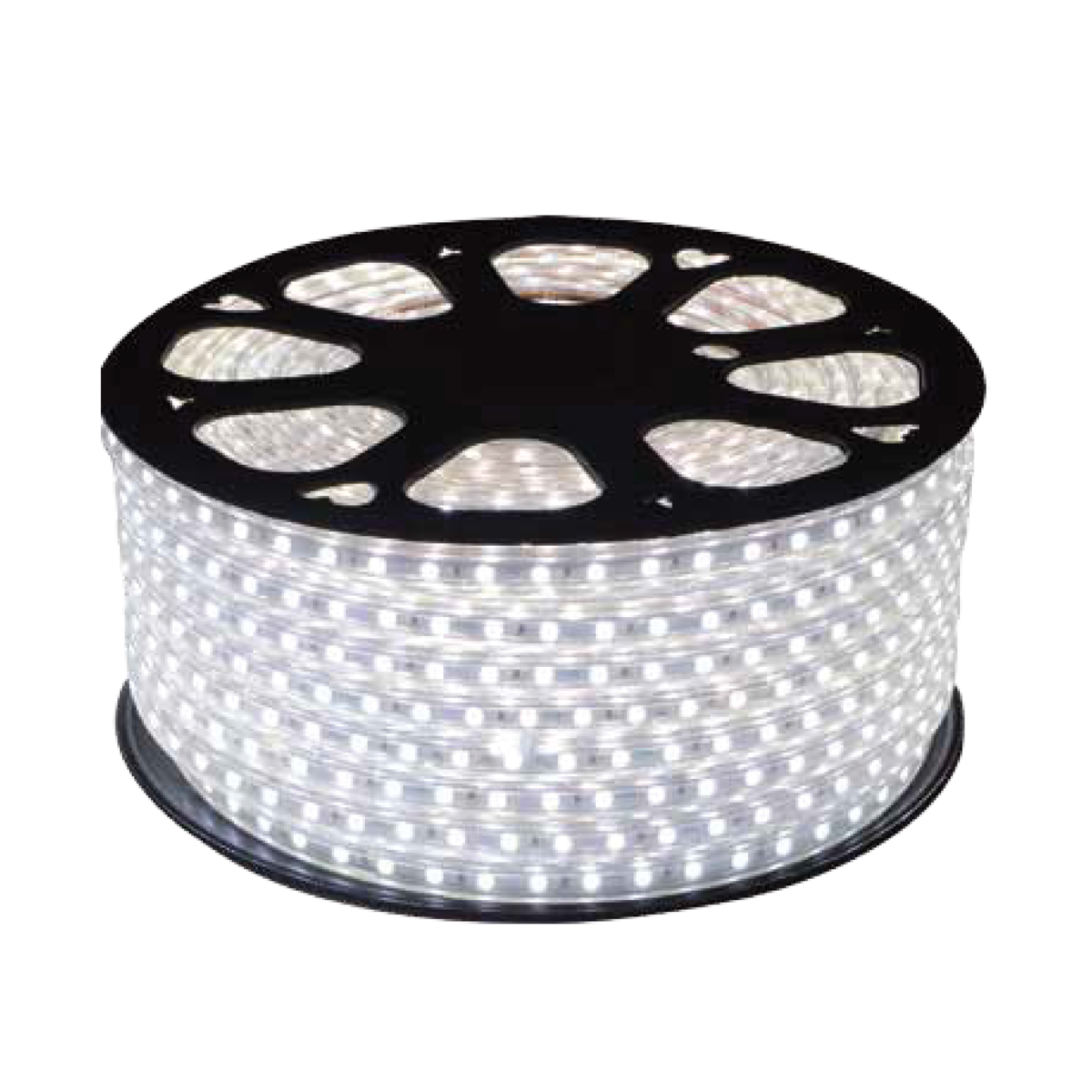 LED dây đôi AC 120LED-m công suất 8W ánh sáng trắng LS 2835AC-T