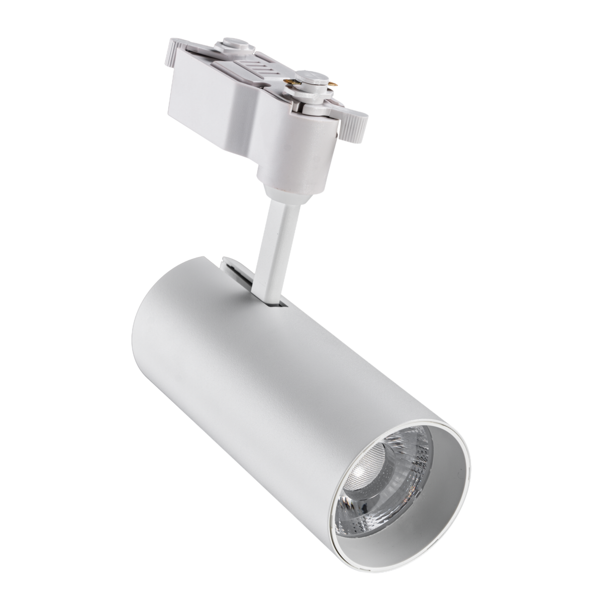 LED chiếu điểm gắn ray màu trắng 12W ánh sáng trắng TSL2-12T