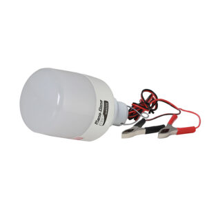 Bóng LED Bulb DC Rạng Đông TR70N1 12W 12-24VDC